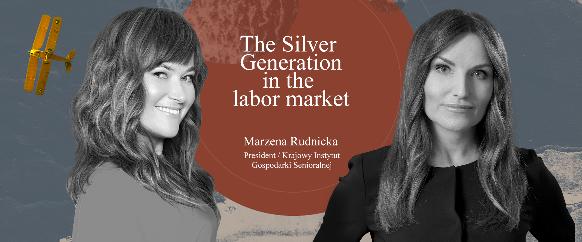 The Silver Generation in the labor market
